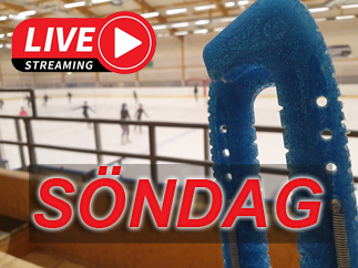 Lnk till live streaming lrdagens tvling